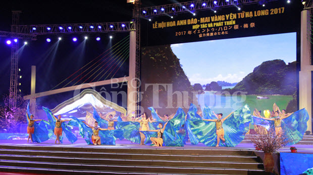  Khai mạc Lễ hội hoa Anh đào - Mai vàng Yên Tử, Hạ Long 2017
